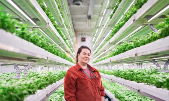 Women standing amongst plants