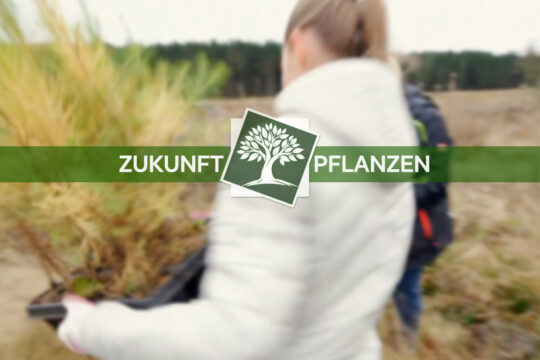 ZUKUNFT PFLANZEN